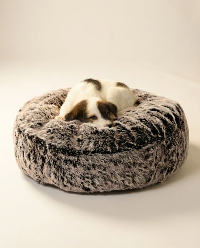 dog curled up in round fur dog bed with thick plush fur