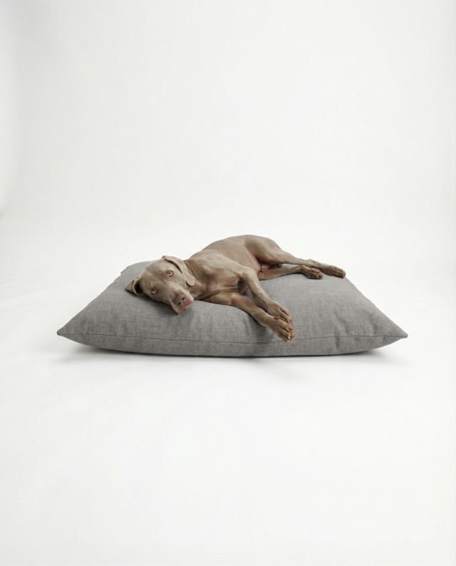 Waterproof Dog Bed Ash Grey