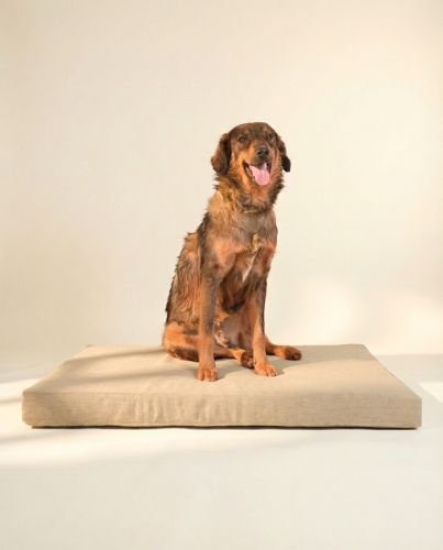Orthopedic Dog Bed Covers Classic